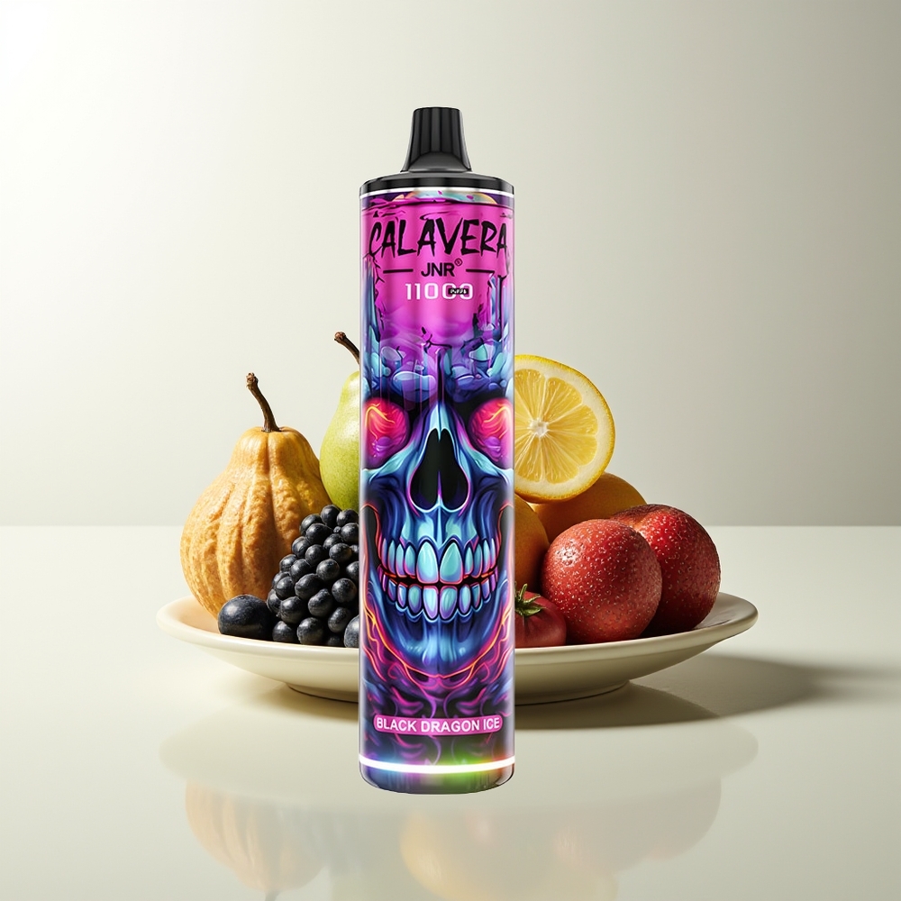 Serbia Wholesale JNR Calavera 11000 Puffs Crni Zmaj Led 850mAh Type-C 21ml 1.0ohm Mesh 0%2%5%
