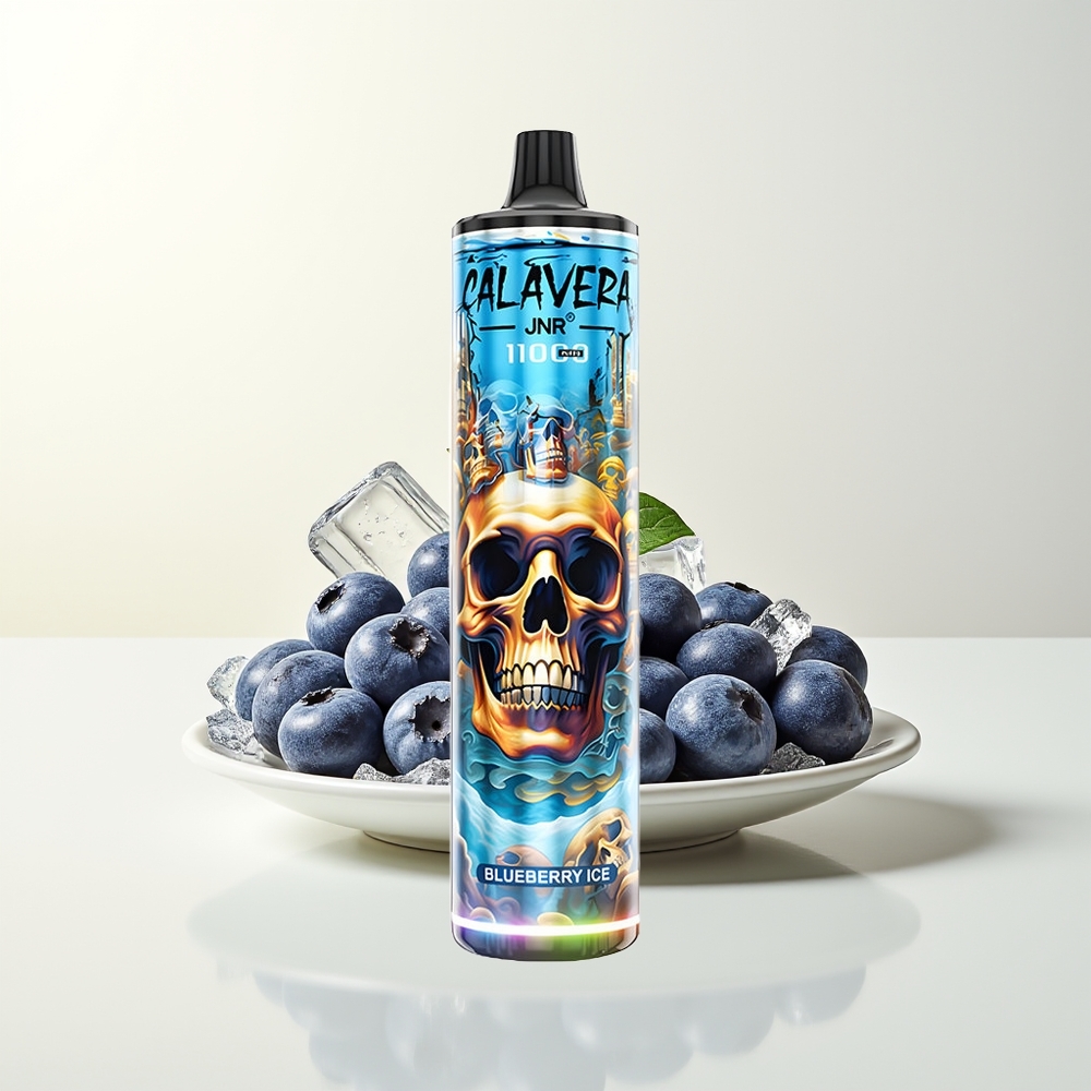 Serbia Wholesale JNR Calavera 11000 Pufova Borovnica Led 850mAh 21ml 1.0ohm Mesh Coil Type-C 0%2%5% Nikotin