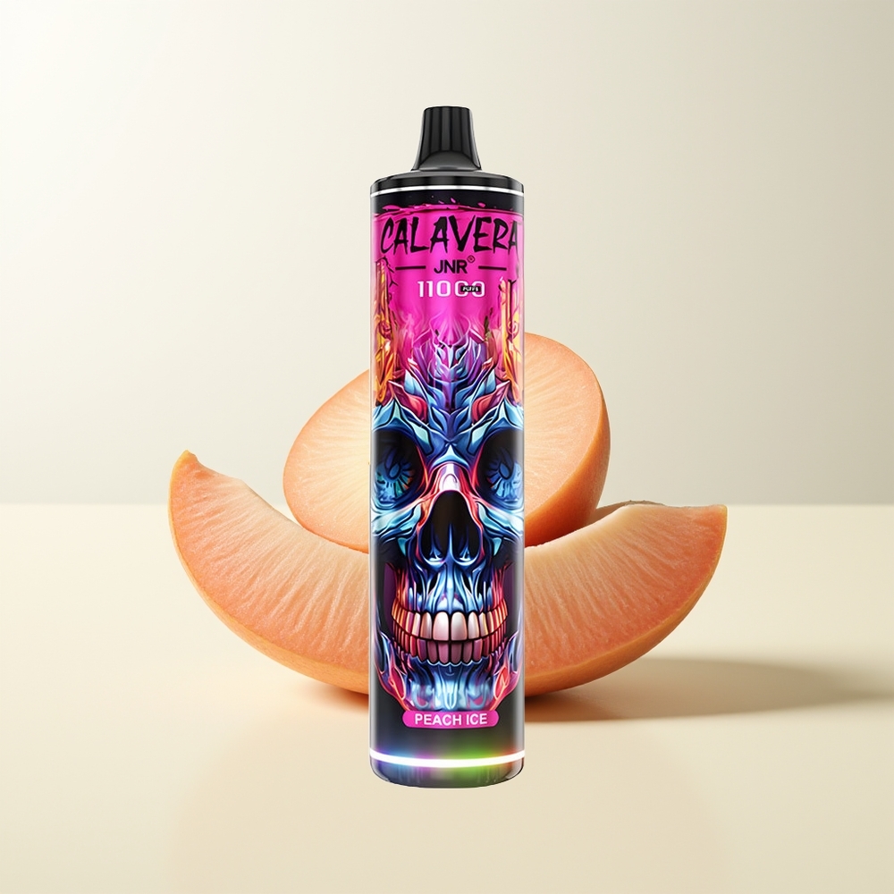 Serbia Wholesale JNR Calavera 11000 Pufova Breskva Led Type-C 850mAh 21ml 1.0ohm Mesh Coil 0%2%5%