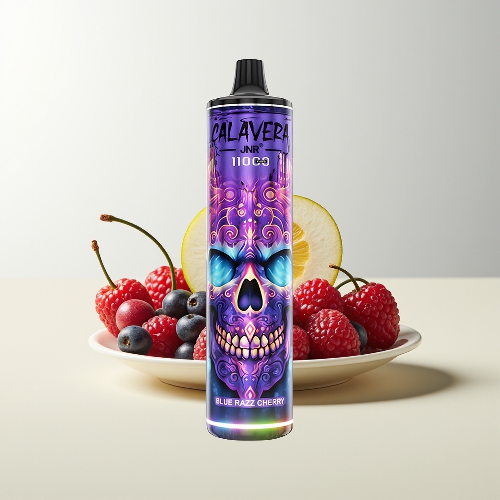 Serbia Wholesale JNR Calavera 11000 Pufova Plava Malina Trešnja Tip-C punjenje 850mAh 21ml 1.0ohm Mrežasti kalem 0% 2% 5% Nikotin