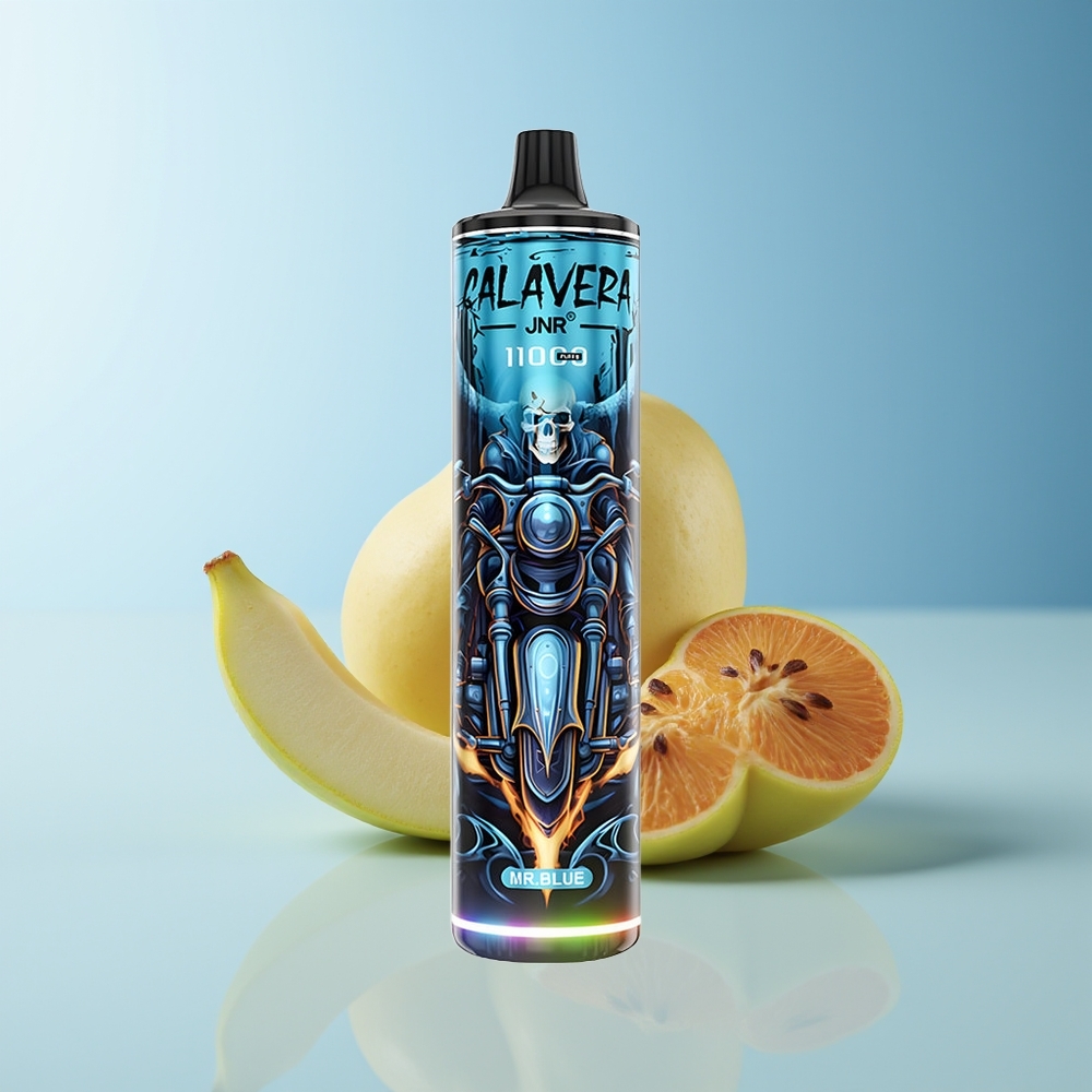 Serbia Wholesale JNR Calavera 11000 Pufova Plavi Tip-C 850mAh 21ml 1.0ohm 0/2/5%