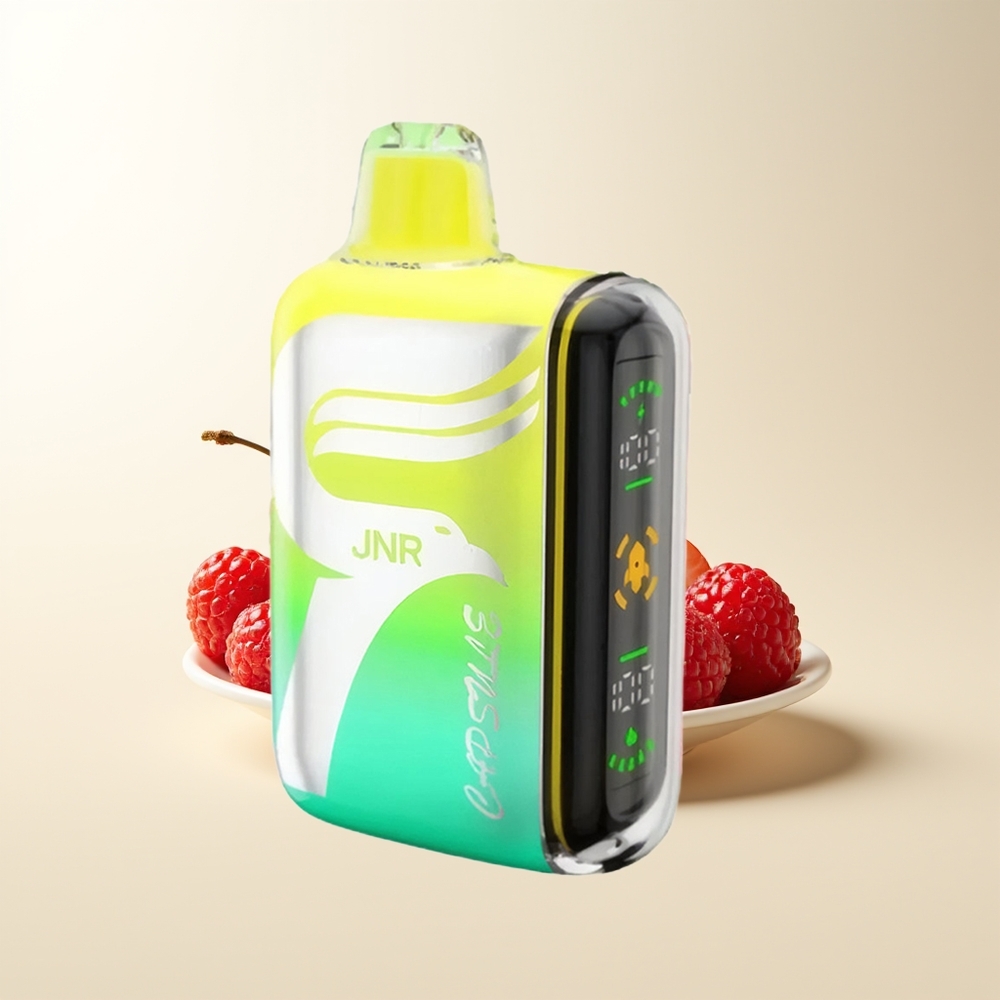 Serbia Wholesale JNR Capsule 15000 Puffs Dual Mesh Coil Jagoda Malina Trešnja Smart LED Display Boost Mode Type-C
