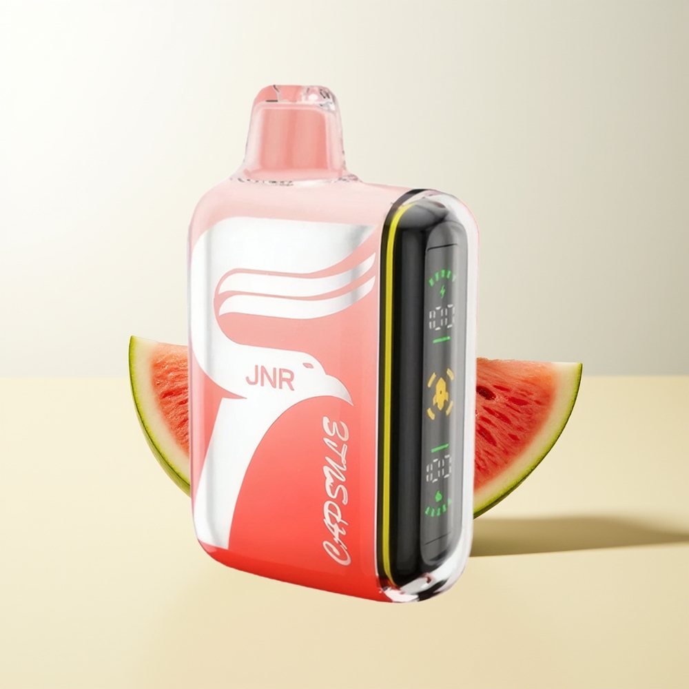 Serbia Wholesale JNR Capsule 15000 Puffs Dual Mesh Coil Lubenica Brazz Led 20W Boost Type-C 20ml 850mAh 2% 5%