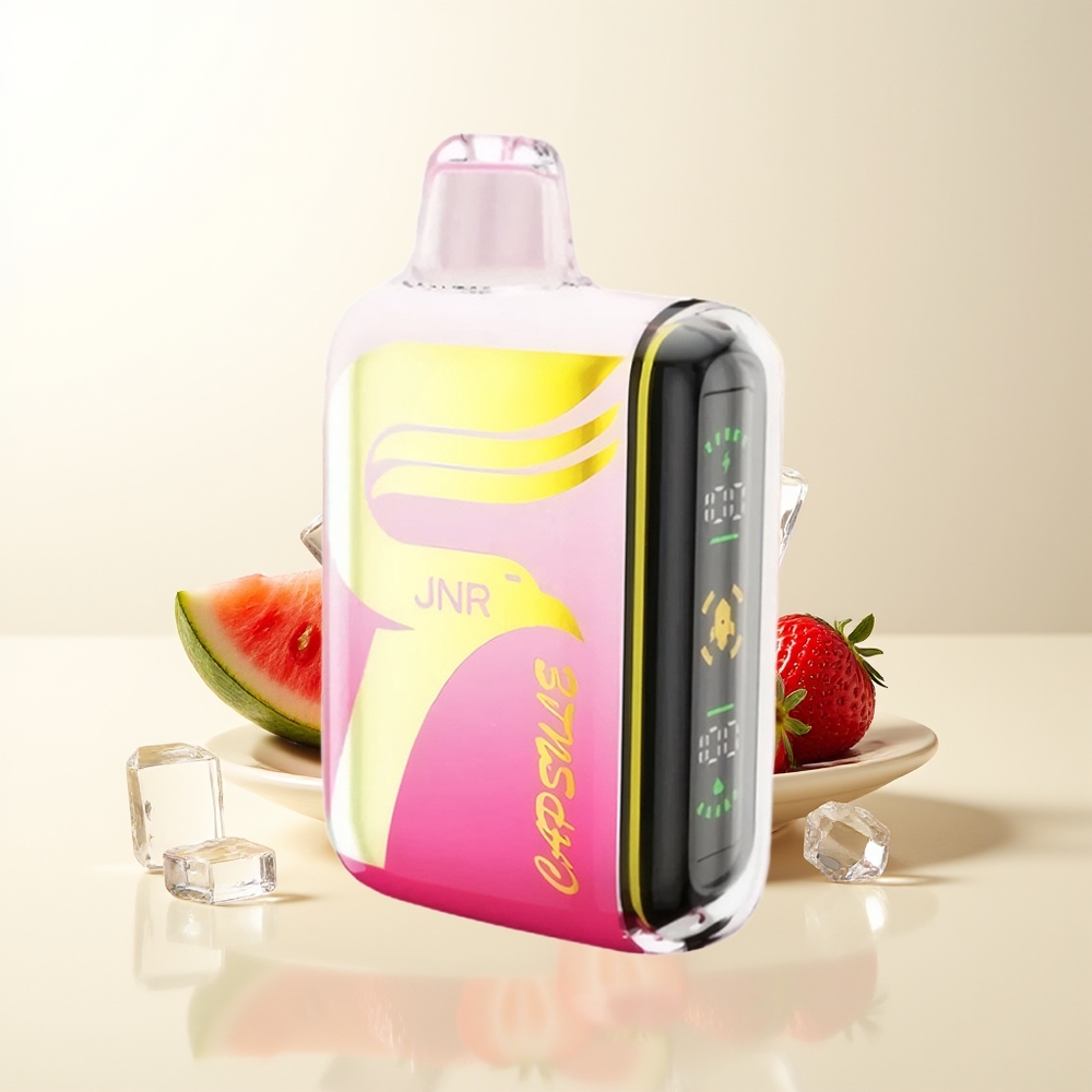 Serbia Wholesale JNR Capsule 15000 Puffs Jagoda Lubenica Led Dual Mesh Coil Smart LED Display Boost Mode Type-C Quick Charge