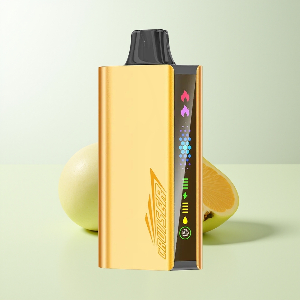 Serbia Wholesale JNR Cruiser 12000 Pufova No-Charge Hladna Metvica 3500mAh 25ml Dual Mesh Coil Animacija Ekran