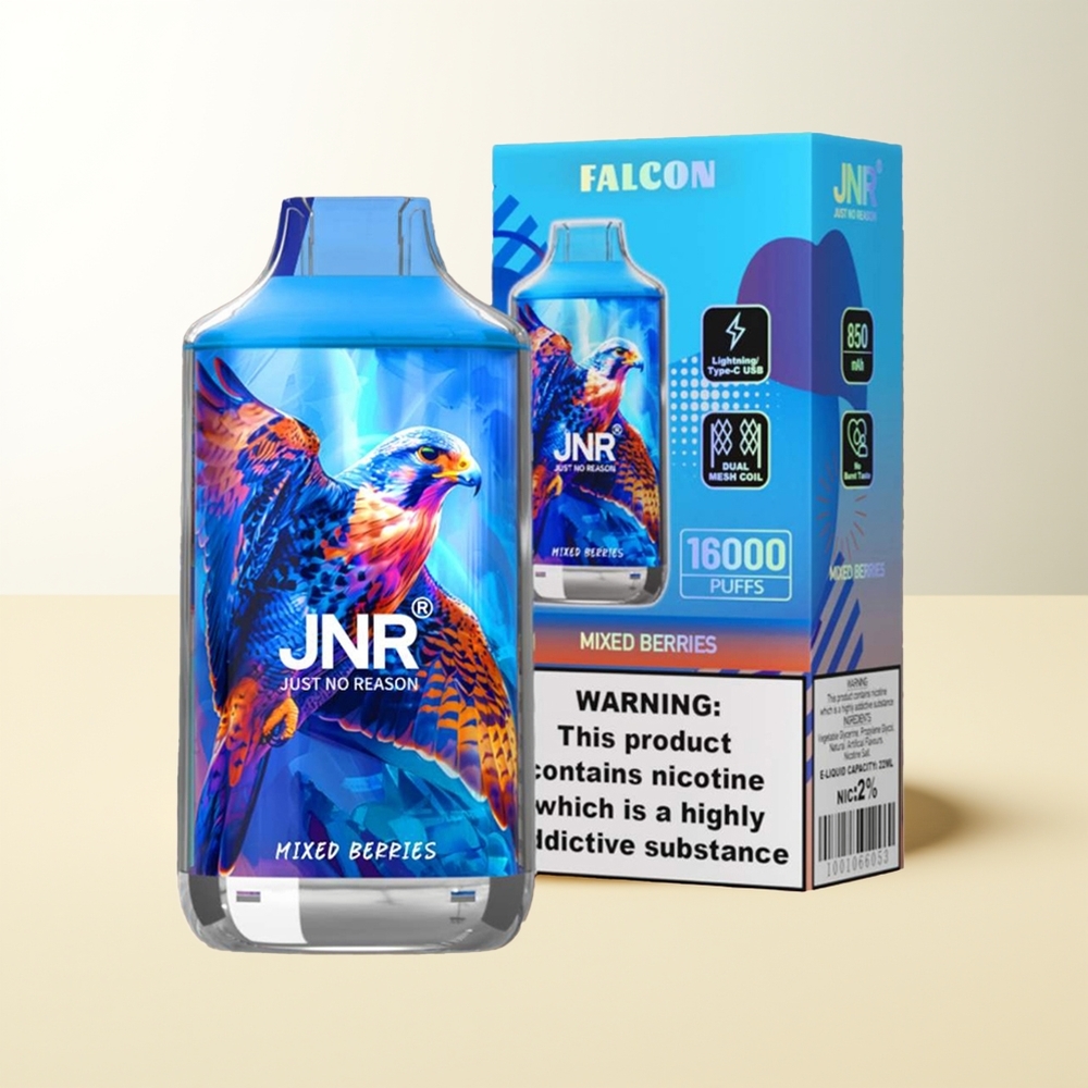 Serbia Wholesale JNR Falcon 16000 Puffs Dual Mesh Coil 850mAh Type C Mešane Bobice