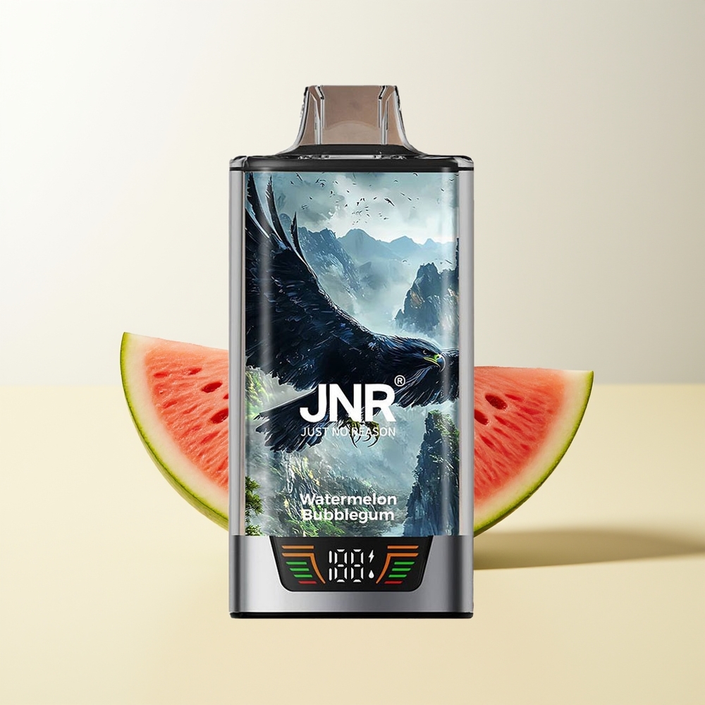 Serbia Wholesale JNR Falcon Pro 28000 Bubica Lubenica Balon Vape Dual Mesh Coil Smart Display USB Type-C
