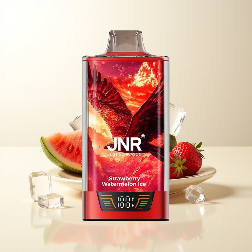 Serbia Wholesale JNR Falcon Pro 28000 Dual Mesh Strawberry Watermelon Ice Smart Display