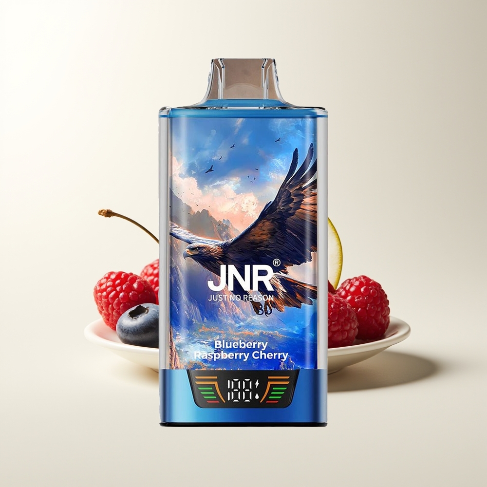 Serbia Wholesale JNR Falcon Pro 28000 Puffs Borovnica Malina Trešnja Dual Mesh Coil Smart Display 30ml 5% Nicotine USB Type-C