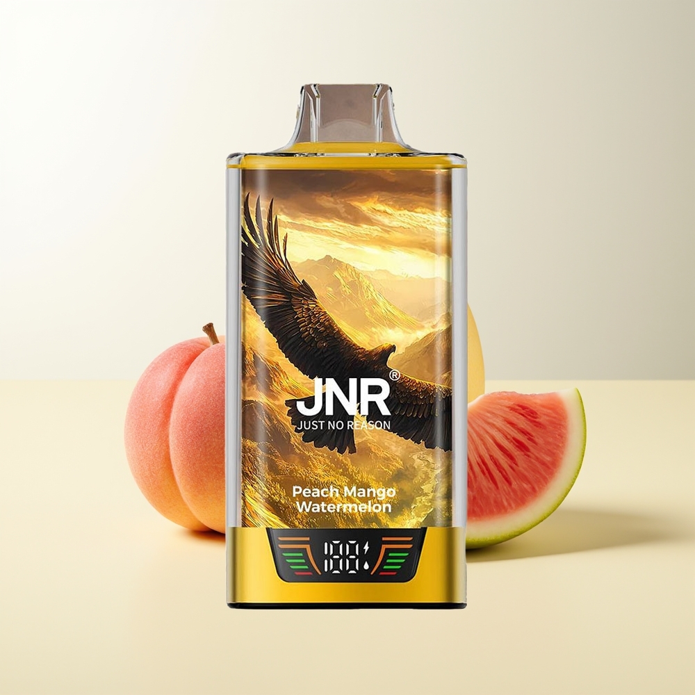 Serbia Wholesale JNR Falcon Pro 28000 Puffs Breskva Mango Lubenica 30ml 5% Nicotine Smart Display Dual Mesh Coil USB Type-C
