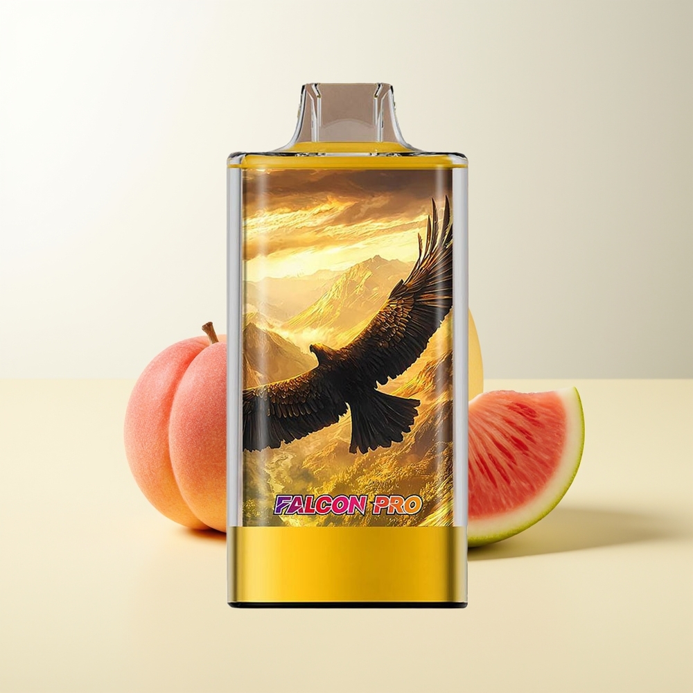 Serbia Wholesale JNR Falcon Pro 28000 Puffs Breskva Mango Lubenica 30ml 5% Nicotine Smart Display Dual Mesh Coil USB Type-C