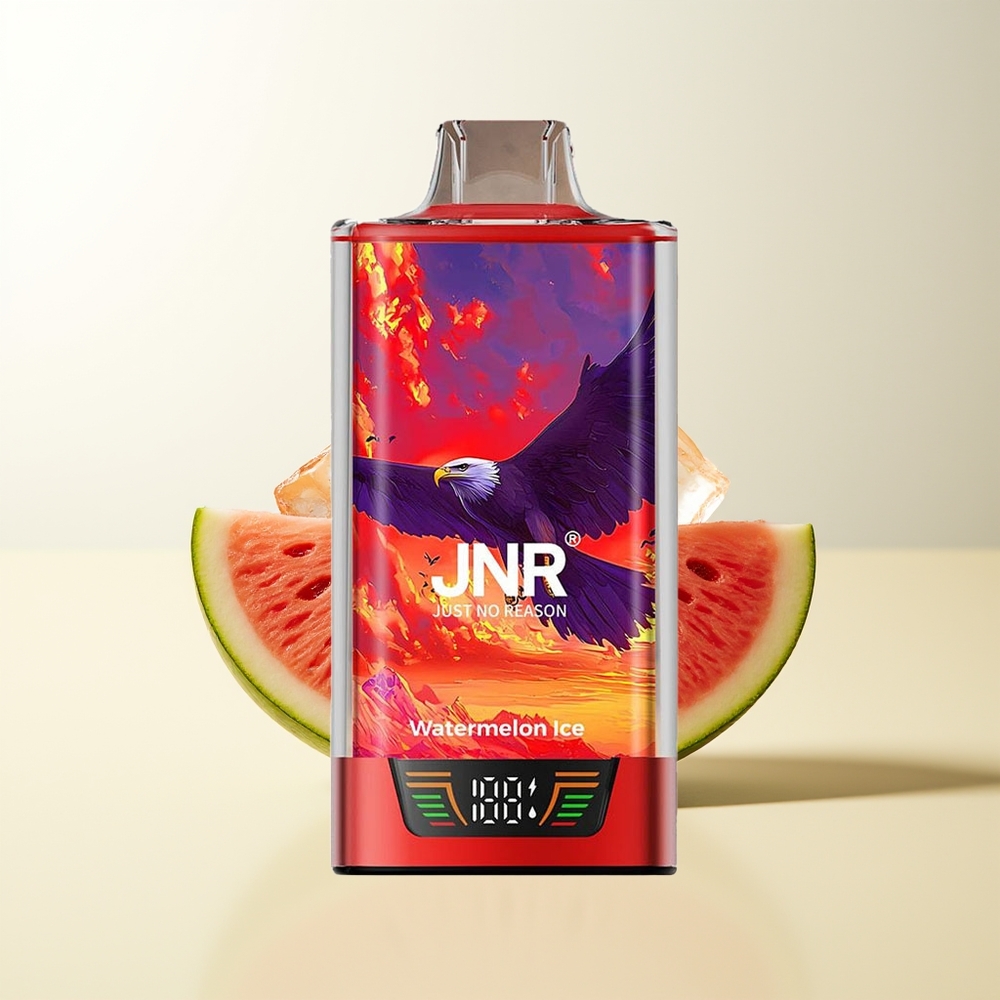 Serbia Wholesale JNR Falcon Pro 28000 Puffs Ledenjena Dinja 30ml 5% Nicotine Smart Display Dual Mesh Coil USB Type-C