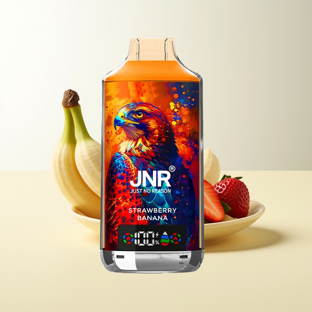 Serbia Wholesale JNR Falcon X 18000 Puffs Jagoda Banana 750mAh 24ml Dual Mesh Coil Digital Display Type-C