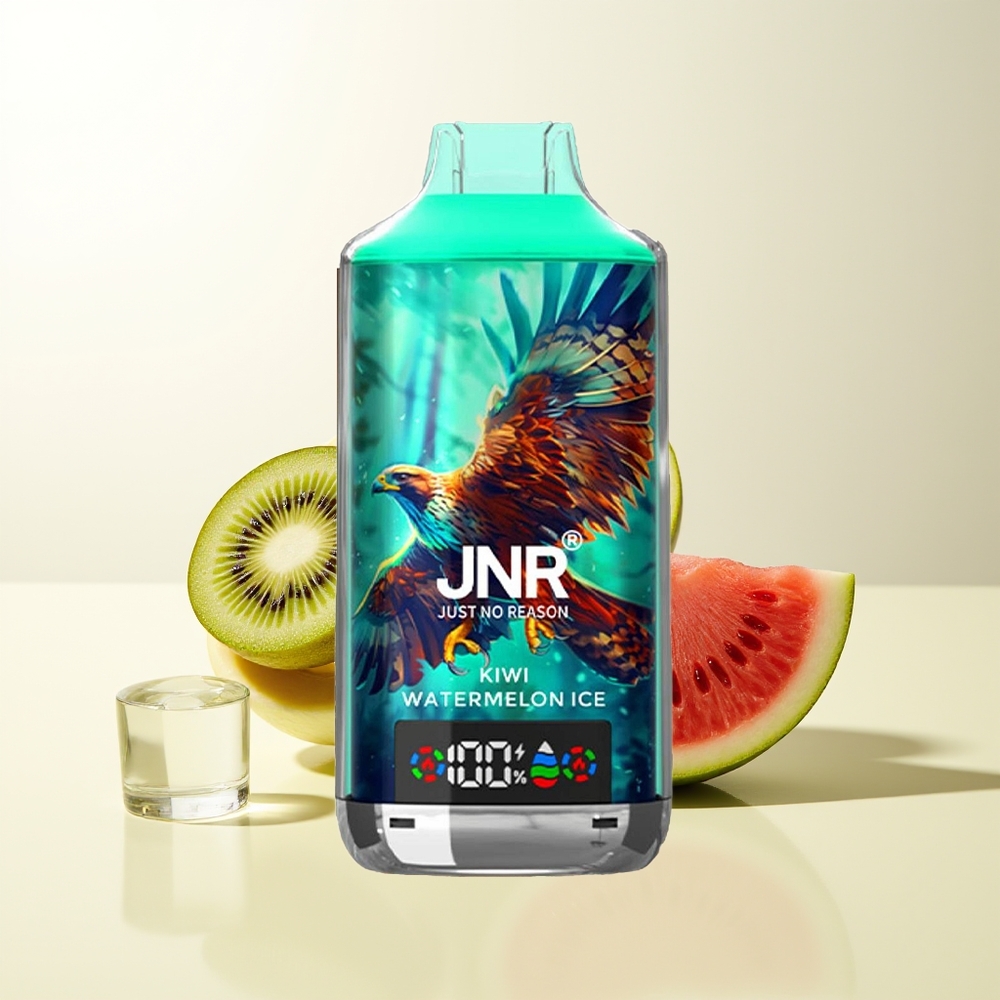 Serbia Wholesale JNR Falcon X 18000 Pufova Dual Mesh Coil Digital Display Type-C Kiwi Lubenica Led