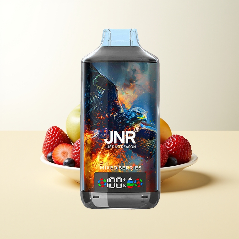 Serbia Wholesale JNR Falcon X 18000 Pufova Dual Mesh Coil Digital Display Type-C Quick Charge Mešane Bobice
