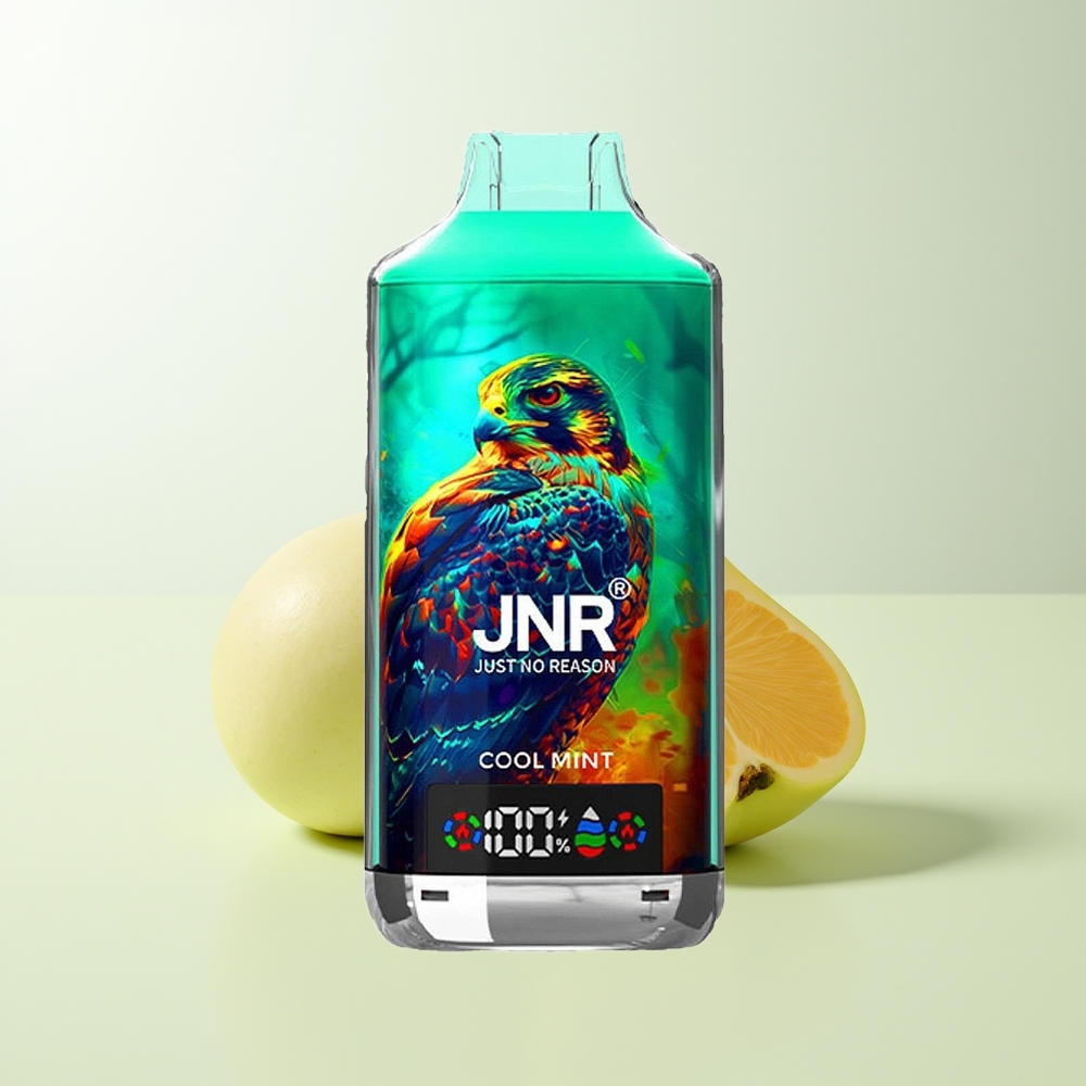 Serbia Wholesale JNR Falcon X 18000 Pufova Dual Mesh Dual Core Digital Type-C 750mAh 24ml Hladna Meta