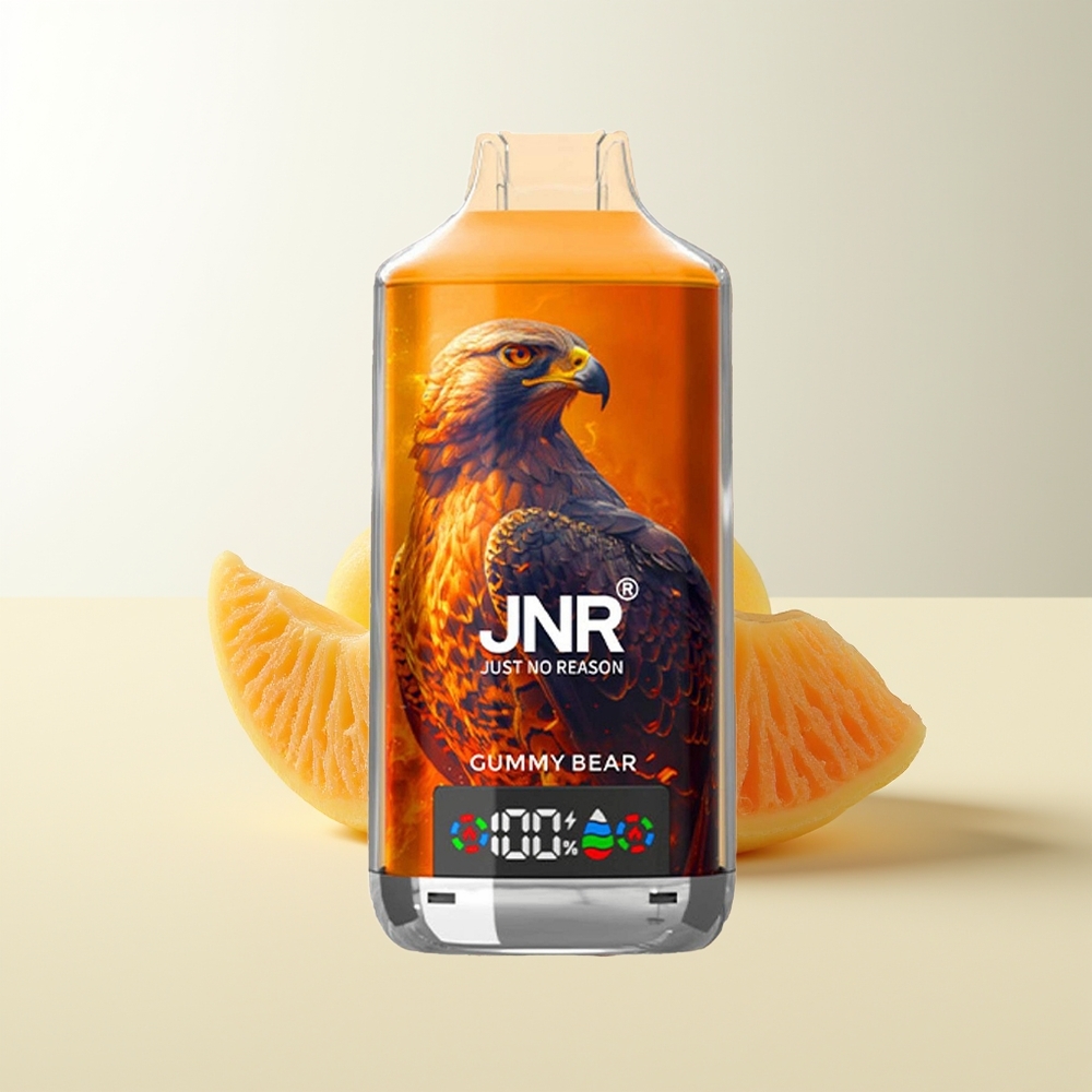 Serbia Wholesale JNR Falcon X 18000 Pufova Dual Mesh Dual Core Type-C Brzi Punjac Gumi Meda 2% 5% 0%