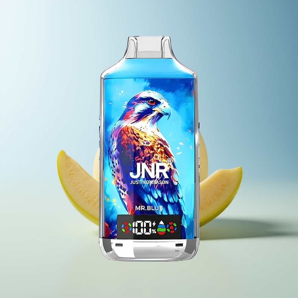 Serbia Wholesale JNR Falcon X 18000 Pufova Plavi Gospodin Dual Mesh Coil Digital Display Type-C