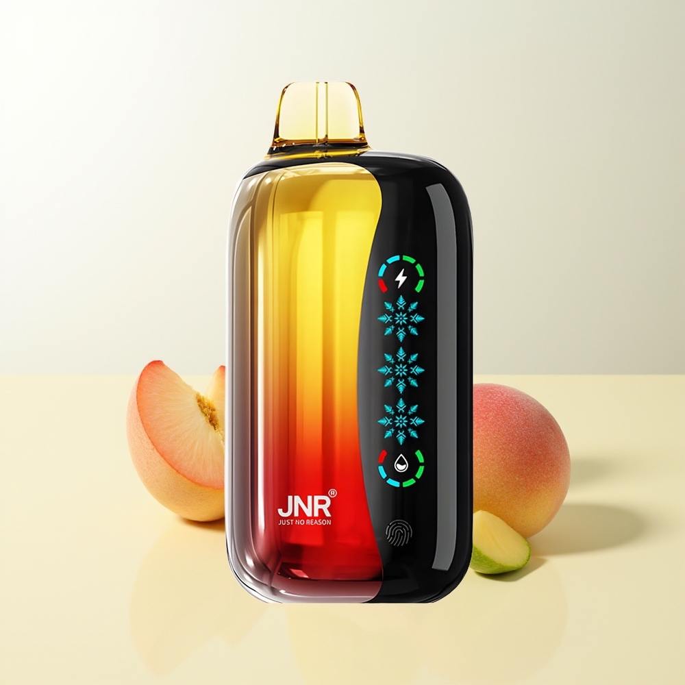Serbia Wholesale JNR Flex Ice 21000 Puffs Breskva Mango Ananas Ice Adjustable 26ml E-liquid Customizable Airflow Touch Screen 1.2 Ohm Dual Mesh 1000mAh Type-C Charging Port