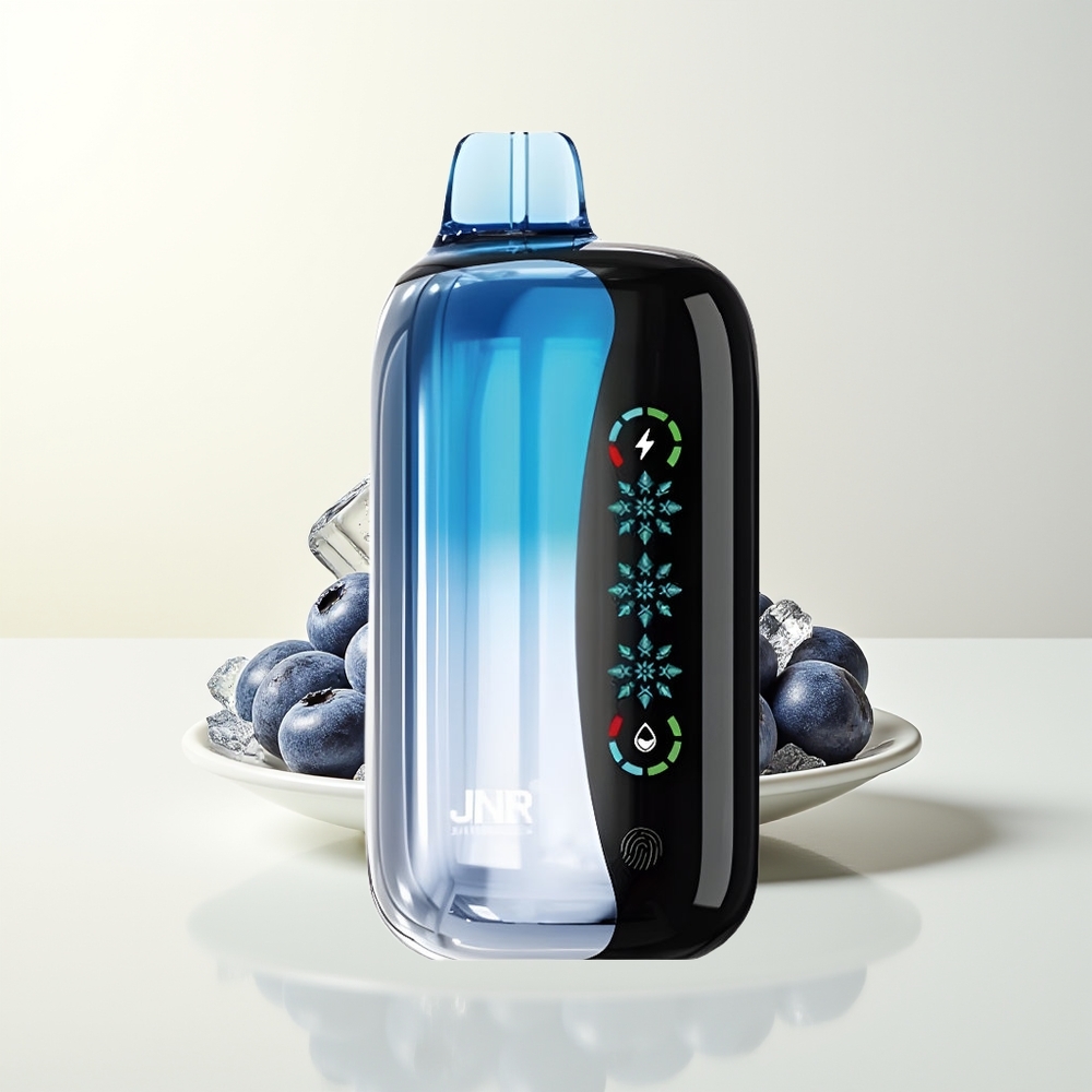 Serbia Wholesale JNR Flex Ice 21000 Pufova Borovnica Led Prilagodljivi Led Podesivi Protok Vazduha Dodirni Ekran Dual Mesh 1.2 Ohm Tip-C Punjenje