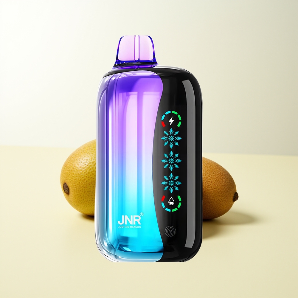 Serbia Wholesale JNR Flex Ice 21000 Pufova Kisela Pasiflora Guava Ice Adjustable Touch Screen Dual Mesh 1.2 Ohm