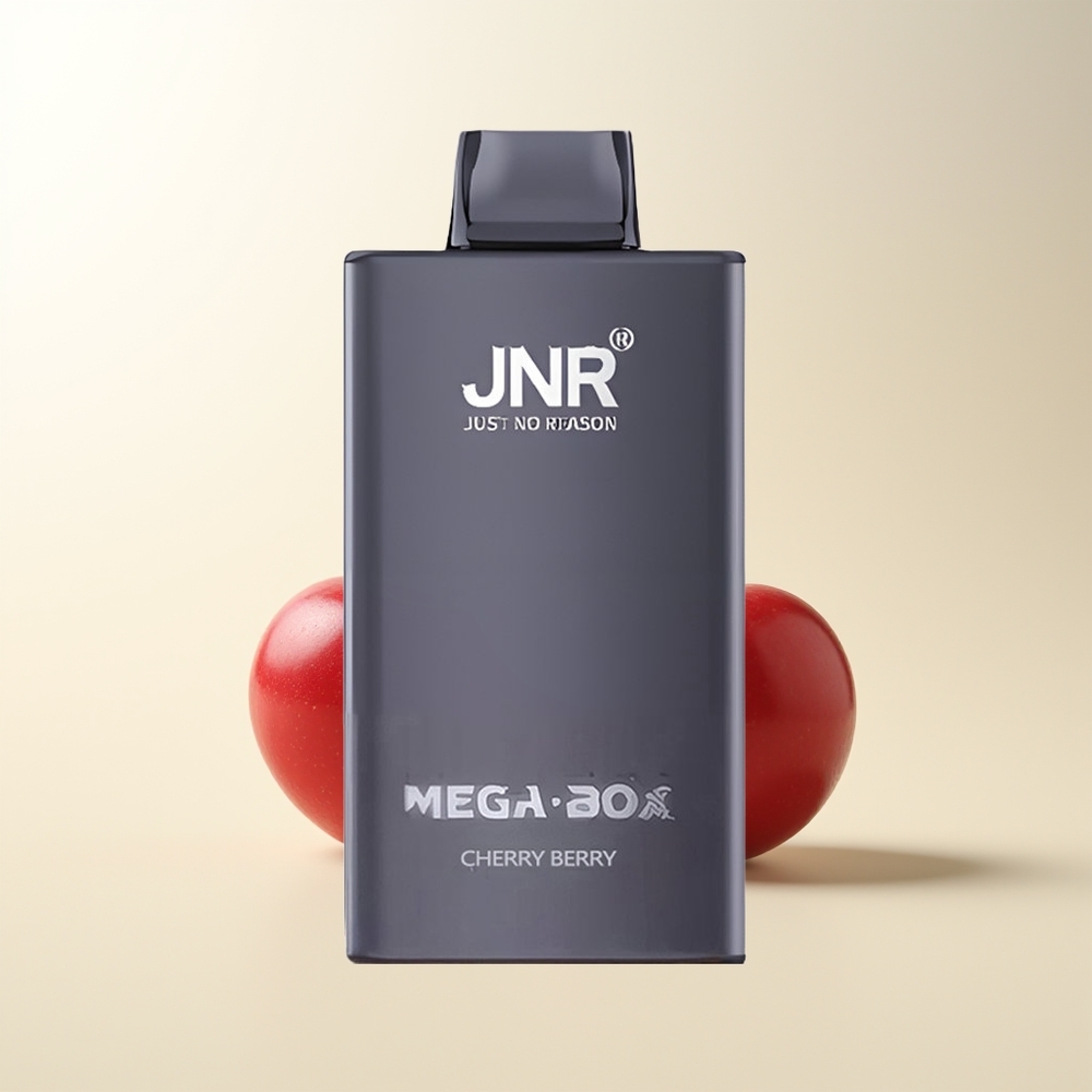 Serbia Wholesale JNR Mega Box 25000 Pufova Trešnja Jagoda Dual Mesh Coil 30ml 850mAh Type-C