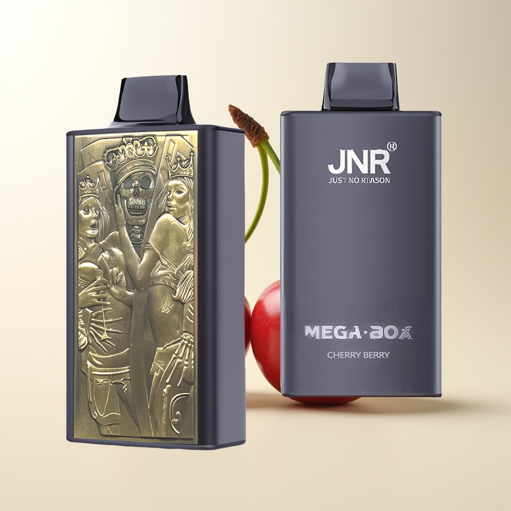 Serbia Wholesale JNR Mega Box 25000 Pufova Trešnja Jagoda Dual Mesh Coil 30ml 850mAh Type-C