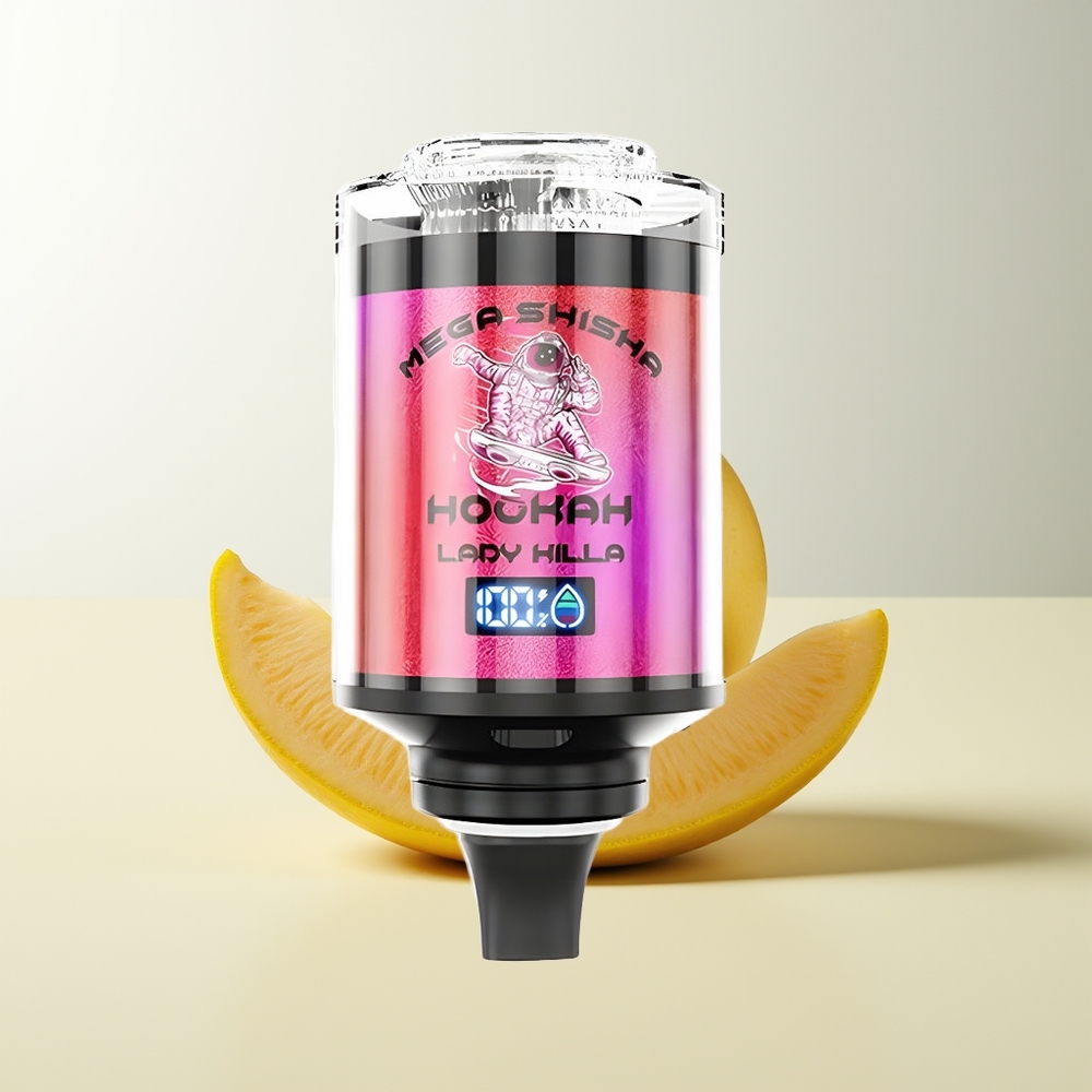 Serbia Wholesale JNR Mega Shisha Hookah 100K Lady Killa 100000 pufova Tip-C brzo punjenje 60ml kapacitet 2200mAh baterija