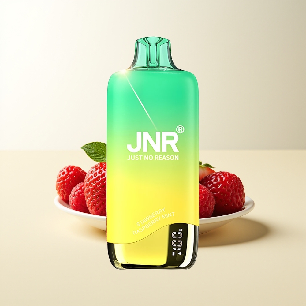 Serbia Wholesale JNR Rainbow 10500 Puffs Jagoda Malina Menta 600mAh 18ml Mesh Coil USB-C