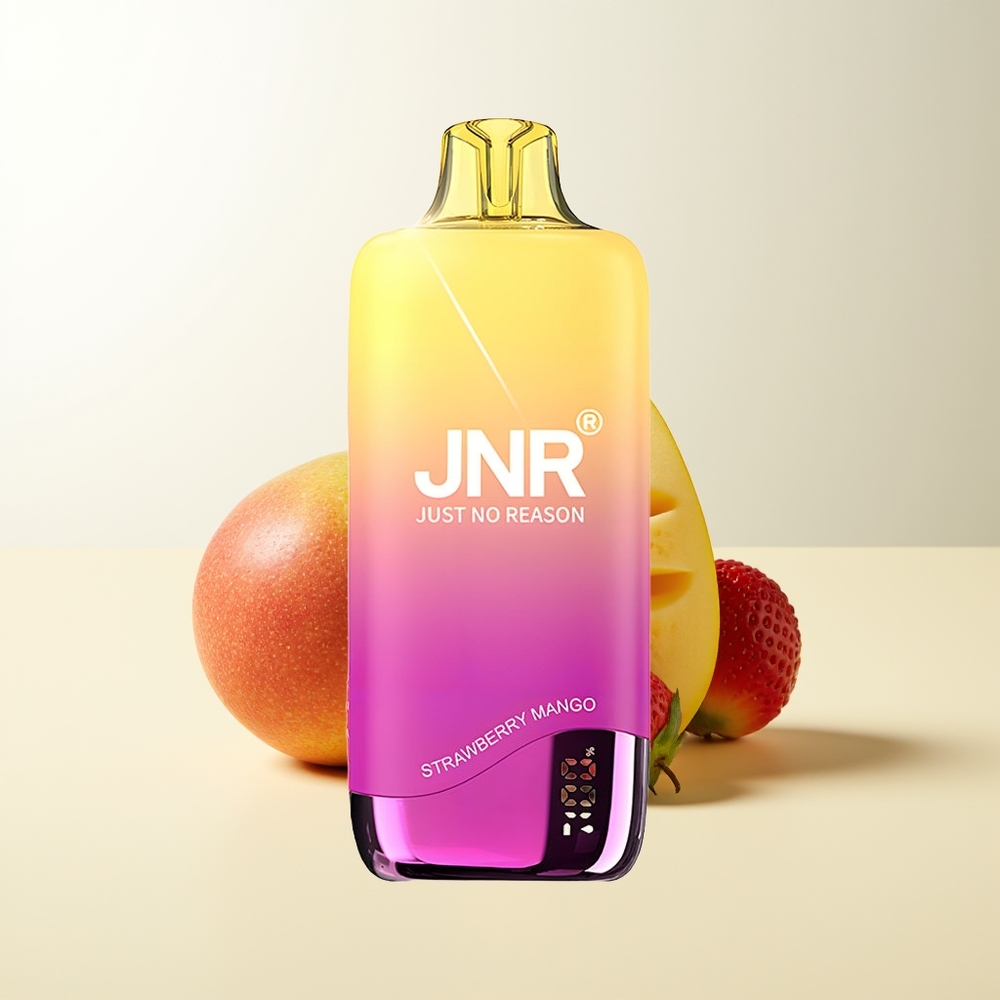 Serbia Wholesale JNR Rainbow 10500 Puffs Jagoda Mango 600mAh 18ml Mesh Coil