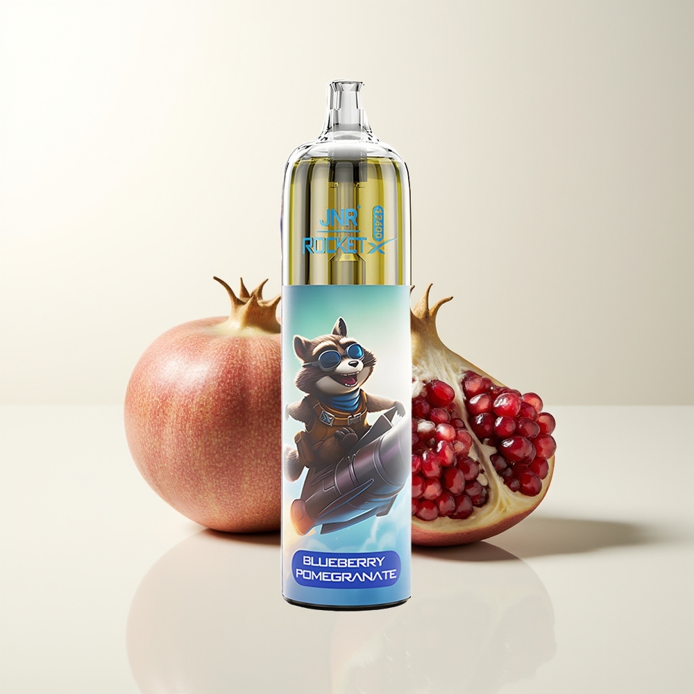 Serbia Wholesale JNR Rocket-X 12400 Pufova Borovnica Nar RGB Light Type-C Quick Charge 25ml e-Liquid 850mAh Battery