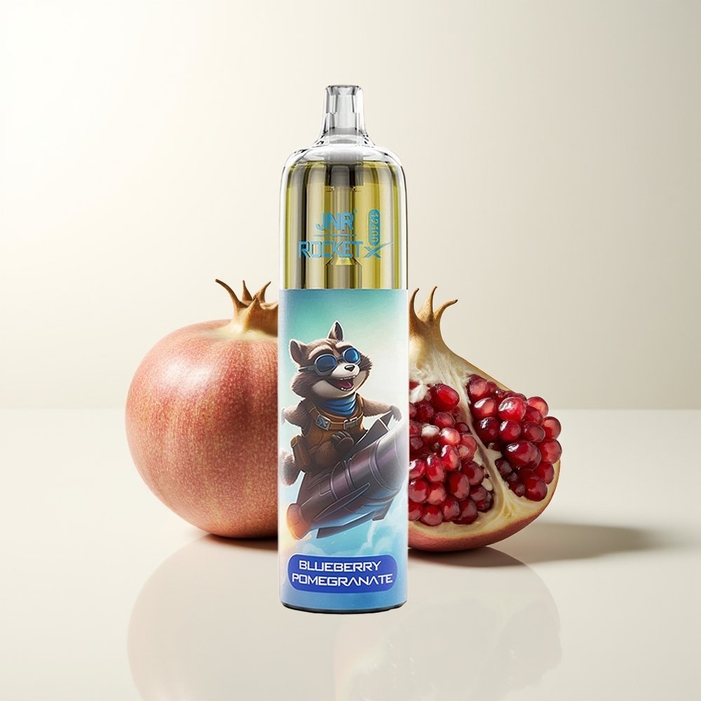 Serbia Wholesale JNR Rocket-X 12400 Pufova Borovnica Nar RGB Light Type-C Quick Charge 25ml e-Liquid 850mAh Battery