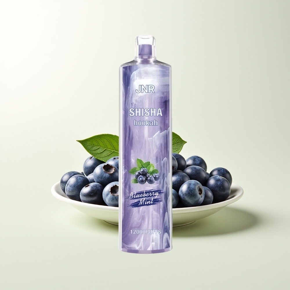 Serbia Wholesale JNR Shisha Hookah 12000 Puffs 750mAh 24ml Type-C Plava Borovnica Met Vape
