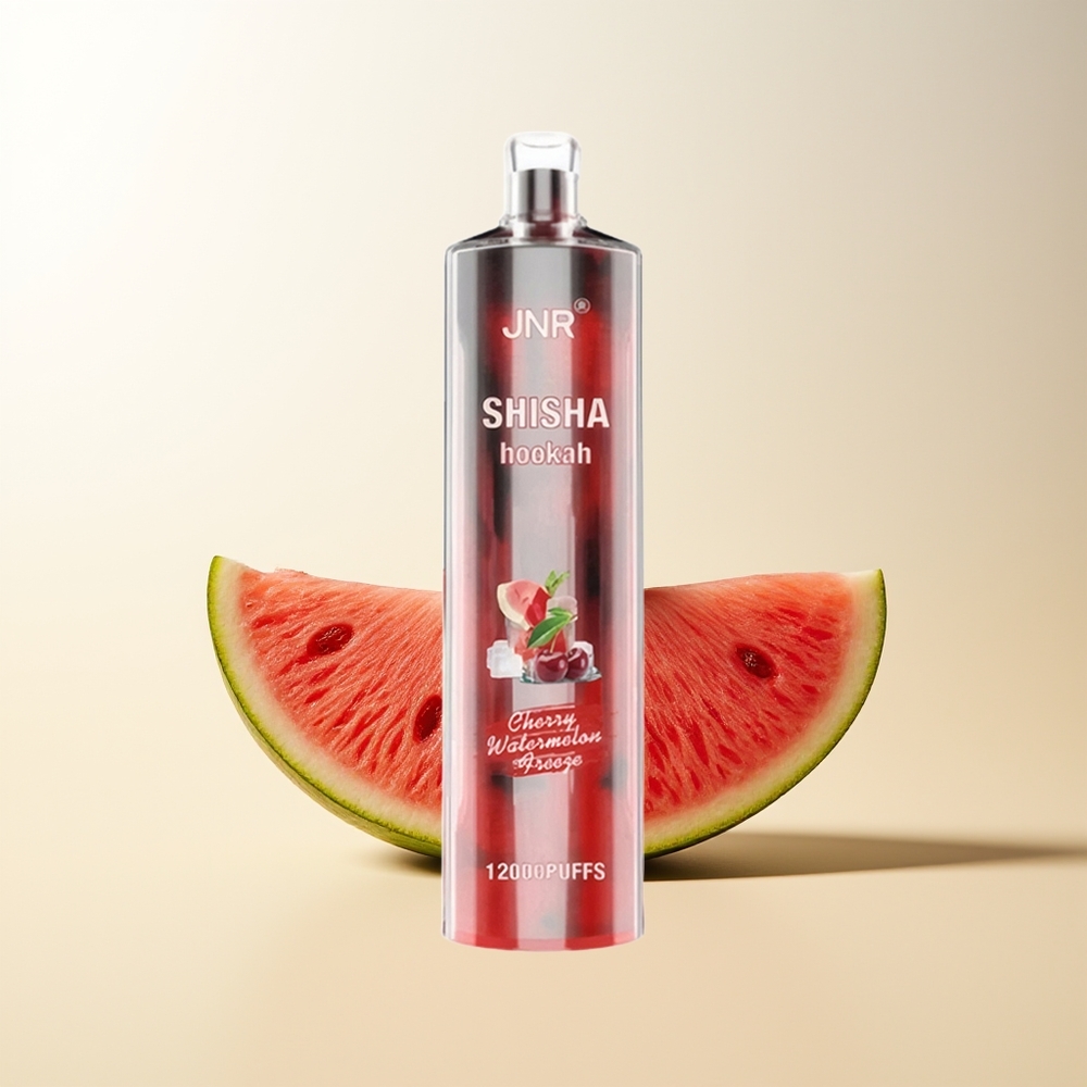Serbia Wholesale JNR Shisha Hookah 12000 Puffs Cherry Watermelon Freeze 750mAh Type-C