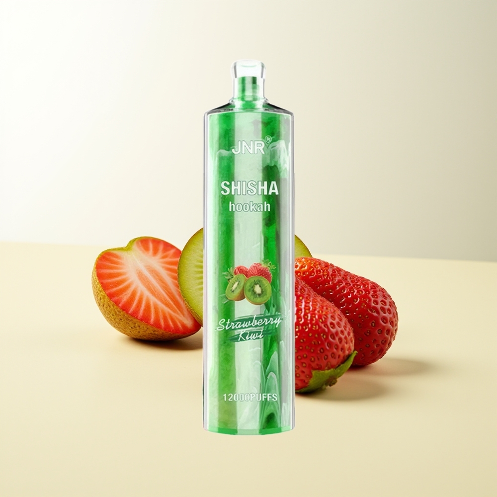 Serbia Wholesale JNR Shisha Hookah 12000 Puffs Jagoda Kivi 750mAh 24ml 0.6 Ohm Mesh Coil Type-C