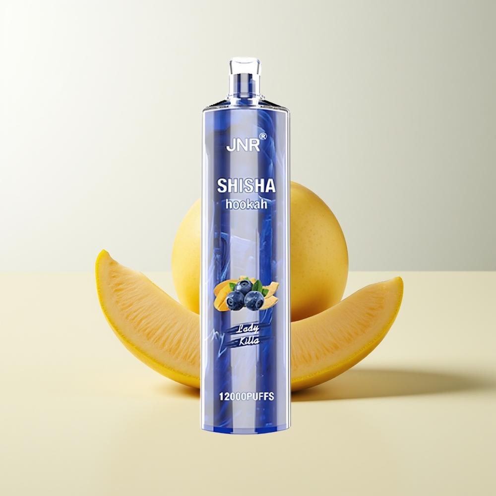 Serbia Wholesale JNR Shisha Hookah 12000 Puffs Lady Killa 0% 2% 750mAh Type-C Fast Charging