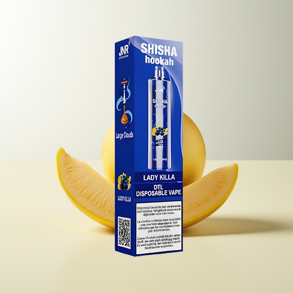 Serbia Wholesale JNR Shisha Hookah 12000 Puffs Lady Killa 0% 2% 750mAh Type-C Fast Charging