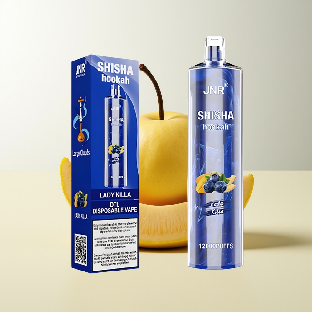 Serbia Wholesale JNR Shisha Hookah 12000 Puffs Lady Killa 0% 2% 750mAh Type-C Fast Charging