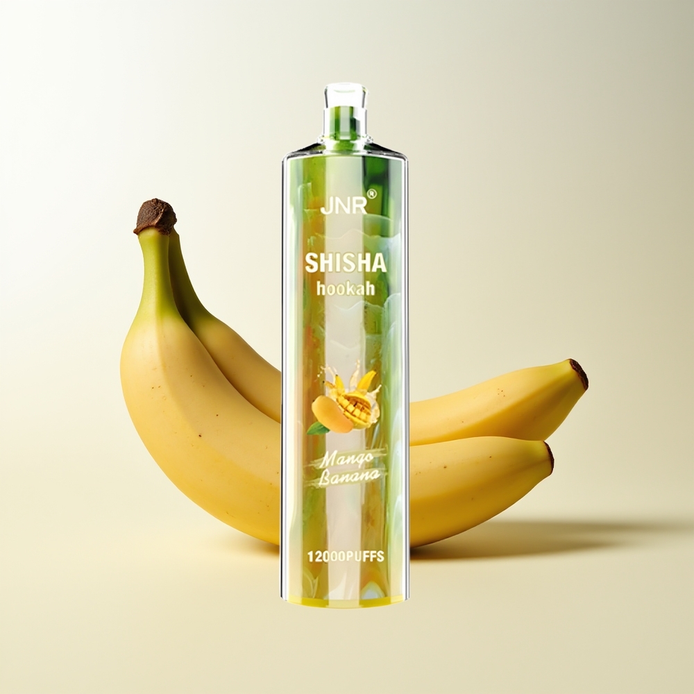 Serbia Wholesale JNR Shisha Hookah 12000 Puffs Mango Banana 750mAh Type-C Fast Charging 24ml 0.6 Ohm Mesh Coil