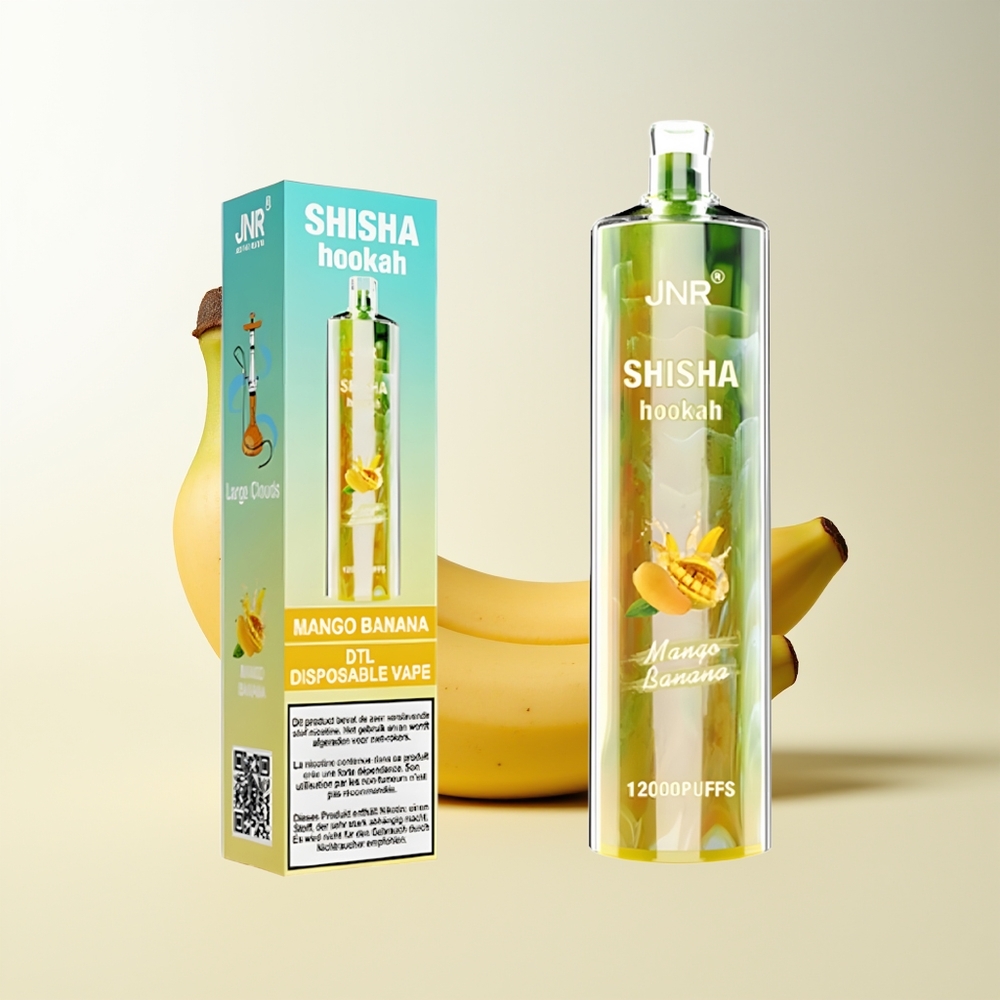 Serbia Wholesale JNR Shisha Hookah 12000 Puffs Mango Banana 750mAh Type-C Fast Charging 24ml 0.6 Ohm Mesh Coil