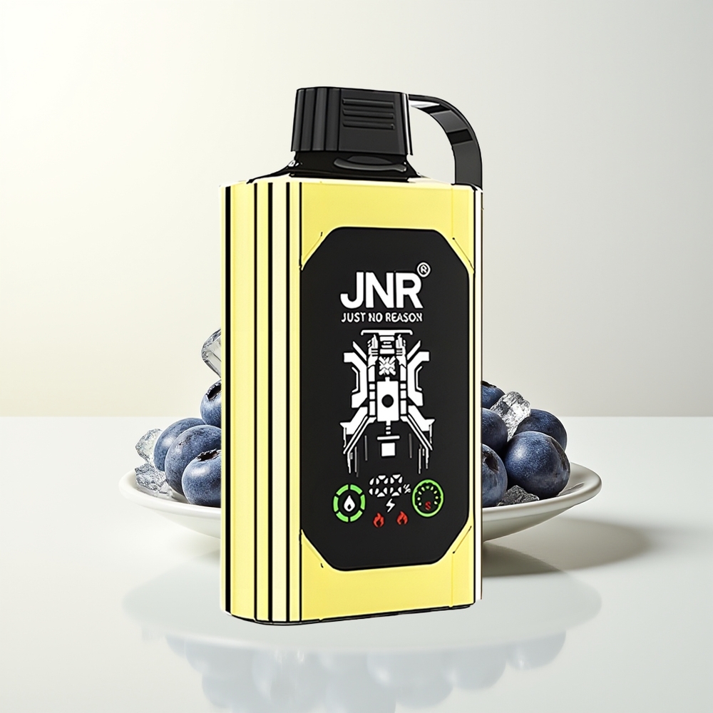 Serbia Wholesale JNR Shisha Hookah Box 20500 Puffs Dual Mesh Coil Type-C Quick Charge Borovnica Led