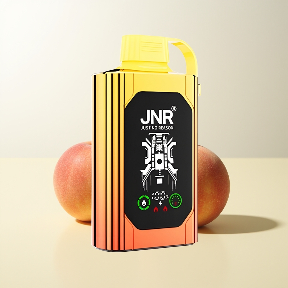 Serbia Wholesale JNR Shisha Hookah Box 20500 Puffs Juicy Peaches HD Display 1000mAh 25ml Dual Mesh Coil Type-C Quick Charge 0%2%5%