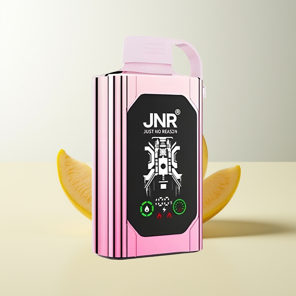 Serbia Wholesale JNR Shisha Hookah Box 20500 Puffs Lady Killa 25ml Dual Mesh Coil Type-C 0% 2% 5%