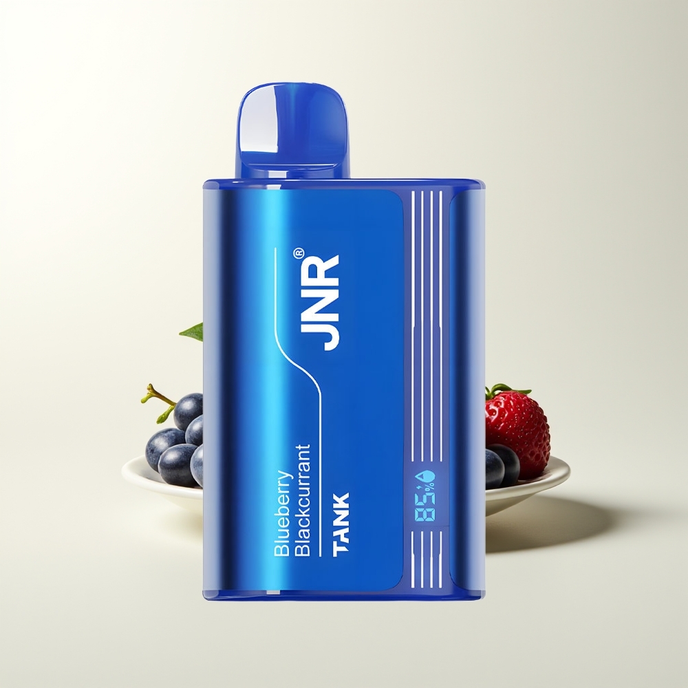 Serbia Wholesale JNR Tank 10000 Puffs Digital Dual Mesh Borovnica Ribizla Type-C Quick Charge Adjustable Airflow