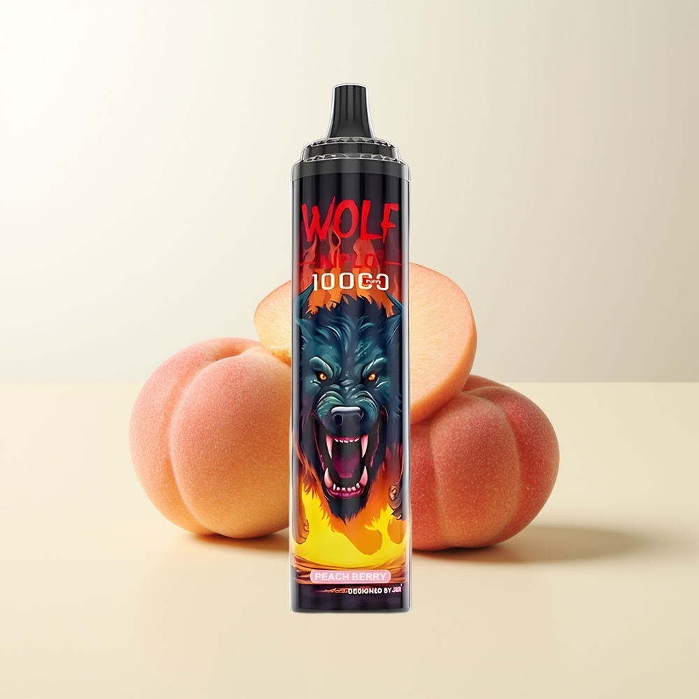 Serbia Wholesale JNR Wolf Niplo 10000 Pufova Breskva Bobica Mesh Coil 1.0 Ohm 650mAh 20ml Type-C