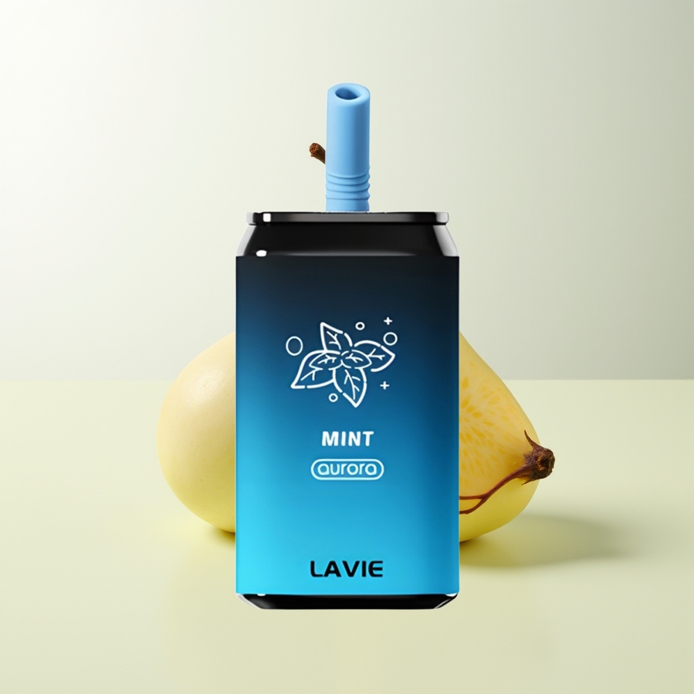 Serbia Wholesale LAVIE Aurora 11000 Puffs Mentol 22ML 650mAh Type C