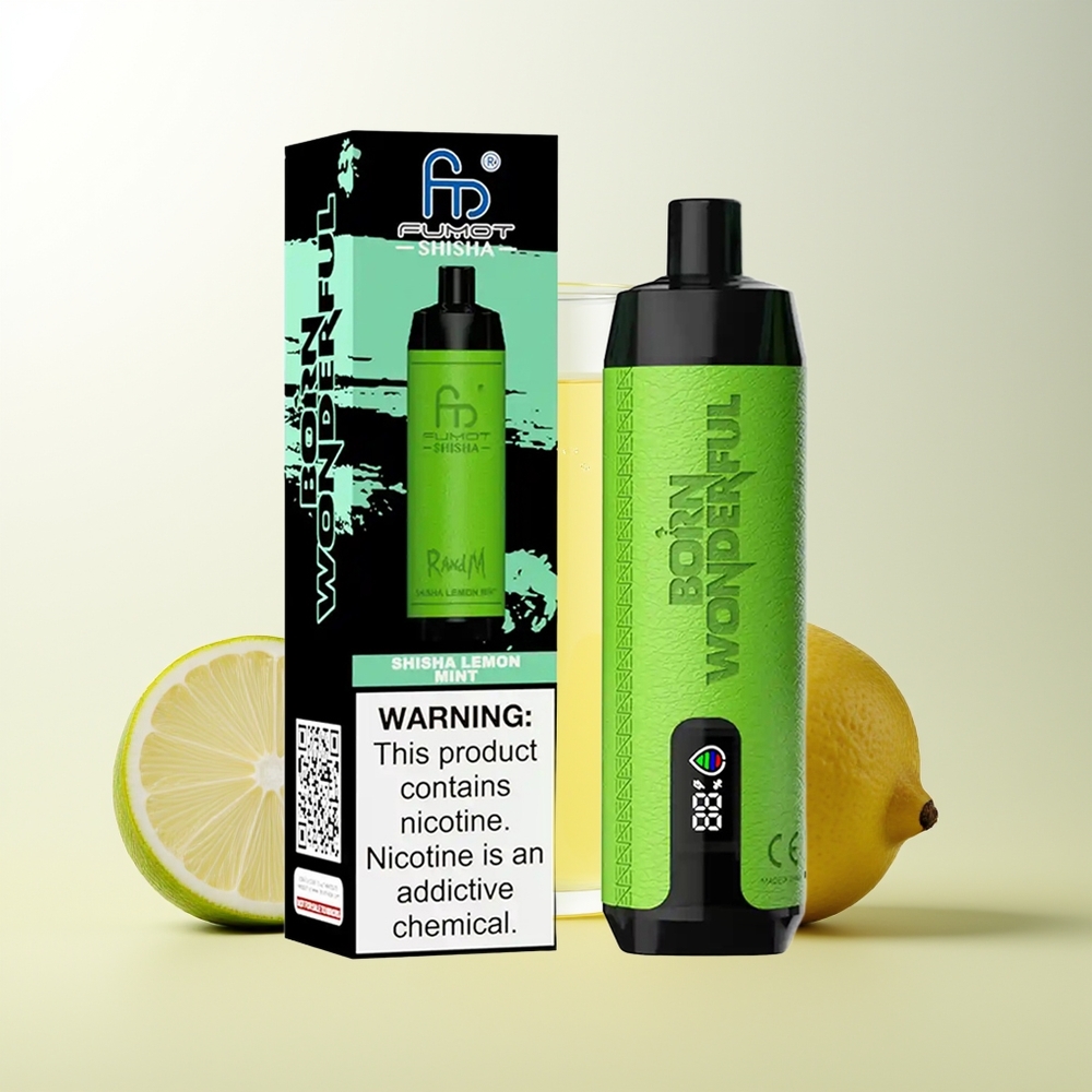 Serbia Wholesale RandM Fumot Shisha 10000 Pufova Limun Nane Shisha LED Indikator 18ml Tekućina 850 mAh Baterija 0.6ohm Mesh Kalem Type-C Port 0.5% Nikotina